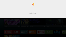 screenshot of Google app for Android TV