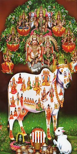 Android application Gomatha Ashtottara screenshort