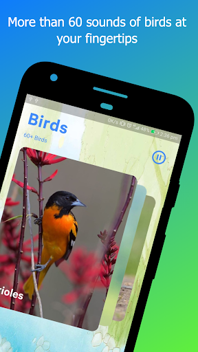 Android application Bird Sounds screenshort