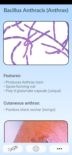 Microbiology Guide Screen 2