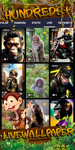 monkey wallpaper Screen 3