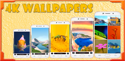 4K Wallpapers