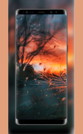 صورة طبيعية nature pictures