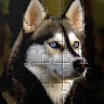 Huskies Dogs Jigsaw Puzzles Free Games 🧩🐕🧩🐾