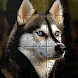 ハスキー犬のジグソー パズル ゲーム - Androidアプリ