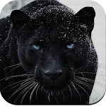 Cover Image of Download Black Panther Wallpaper HD  APK