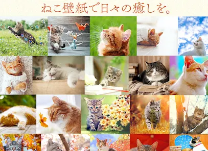 猫の可愛い壁紙 Google Play のアプリ