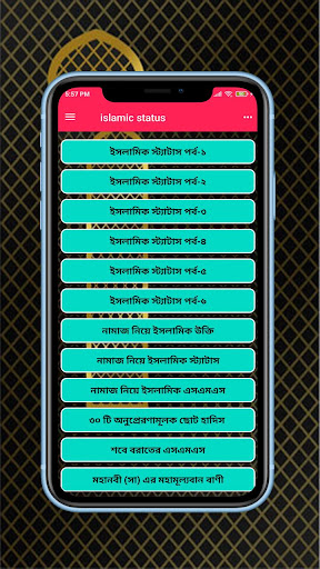 ইসলামিক পোস্ট ও স্ট্যাটাস Screen 3
