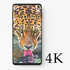 Wild Animal Wallpaper 4K - Off - Apps on Google Play