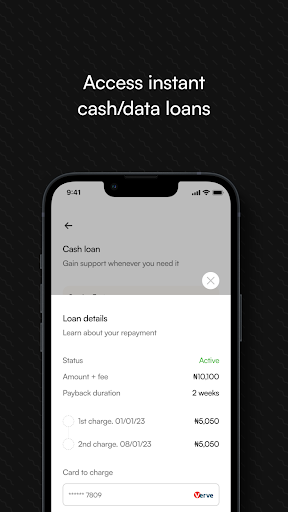 Paykonet Screen 2