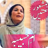 Umm-e-Habiba Naats Collection icon