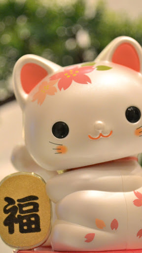Android application fortune cat wallpaper screenshort