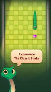 Snake World