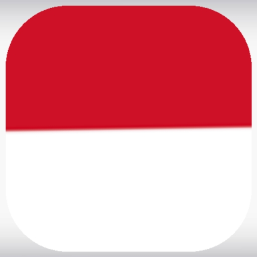 VPN Indonesia - Proxy VPN App