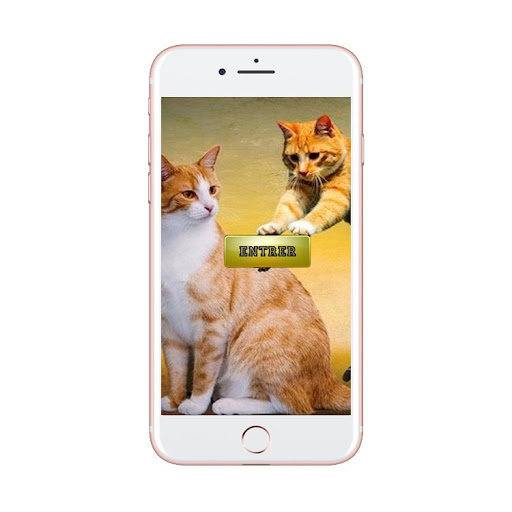 Android application Noms des animaux/Femelle/petit screenshort