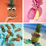 Cover Image of ดาวน์โหลด Pineapple HD Wallpapers  APK