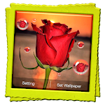 Cover Image of Herunterladen 3D Rose Live Wallpaper  APK
