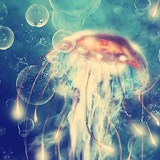 live wallpapers jellyfish icon