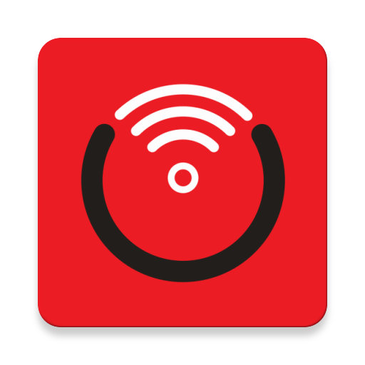 Raymote logo