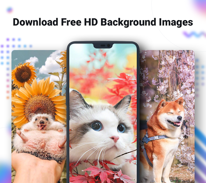 NoxLucky - 4K Live Wallpapers 2.7.8 APK + Mod (Unlimited money) untuk android