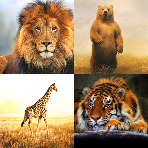 Zoo Live Wallpaper logo