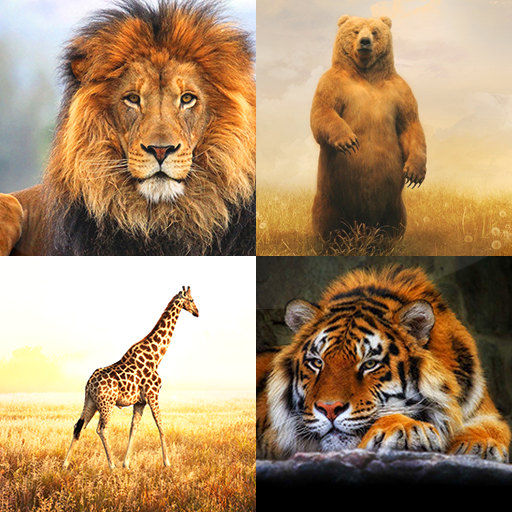 Zoo Live Wallpaper  Icon