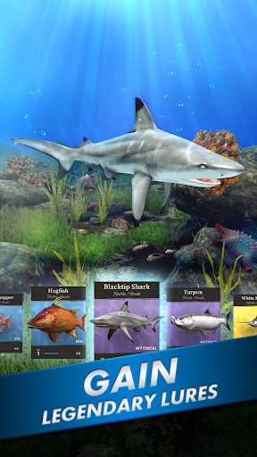 Ultimate Fishing: Reel Catch: Play Online For Free On Playhop