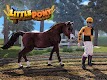 screenshot of My Cute Little Pony Video Game