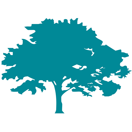 JMCard SAFE logo