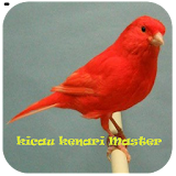 Kicau Kenari Master icon