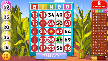 Bingo World - Offline Bingo