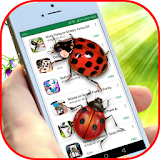 Ladybug on Screen - Funny App with Cute Gifs icon