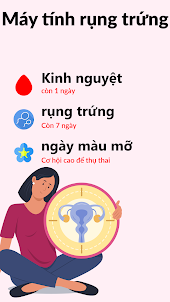 lịch rụng trứng và kinh nguyệt