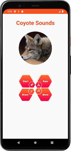 Coyote Sounds Screen 2