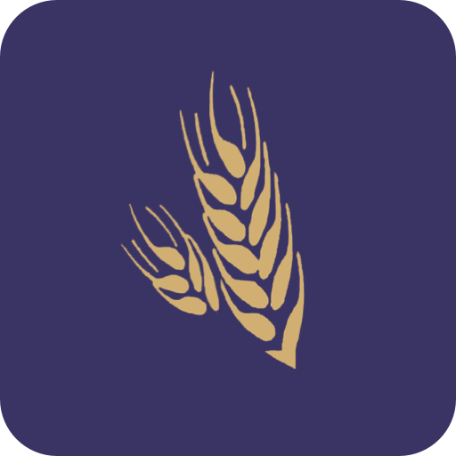 MVN - Palmito logo
