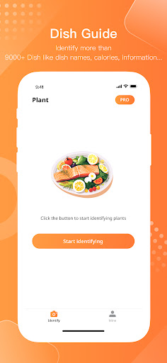 Android application DishSnap - identify dish names screenshort