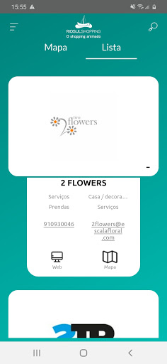 RioSul Shopping Screen 2