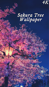 HD Sakura Wallpaper 4K