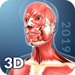 Cover Image of Download My Muscle Anatomy  APK