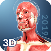 Top 30 Medical Apps Like My Muscle Anatomy - Best Alternatives