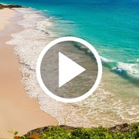 Beach Video Live Wallpaper