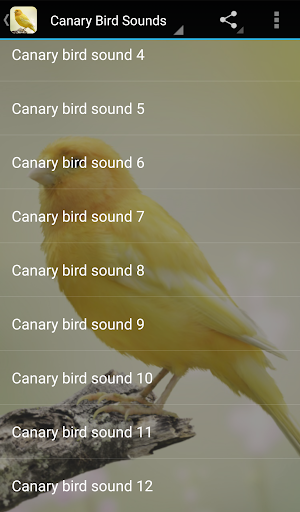 Android application Canary Bird Sounds screenshort