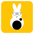 RabbitNet Plus - V2ray/UDP/SSH