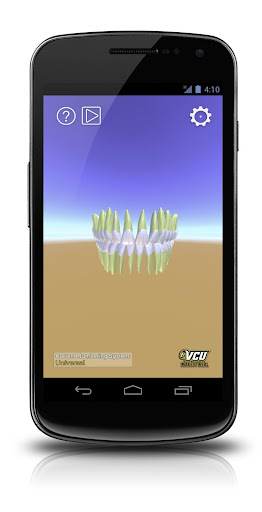 Android application 3D Tooth Anatomy screenshort