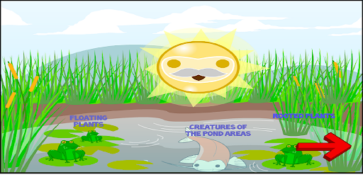 Flow of Energy in Ecosystem Screen 2