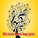 Hits Calvin Harris Song Lyrics icon