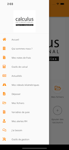 CALCULUS INTERNATIONAL