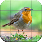 Cover Image of Download Sparrows Puzzle  APK