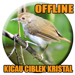 Cover Image of 下载 Suara Ciblek Kristal Ngebren Panjang 1.0 APK