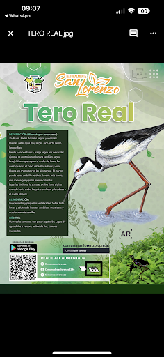 Android application San Lorenzo AR screenshort